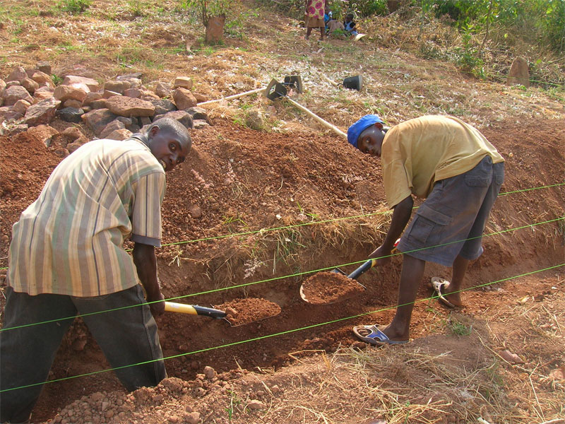 Pygmy Men